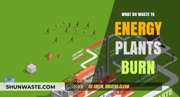 Sustainable Solutions: What Do Waste-to-Energy Plants Burn?