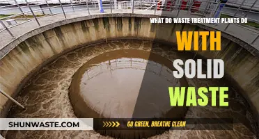 Unveiling the Mysteries of Solid Waste Management at Treatment Plants