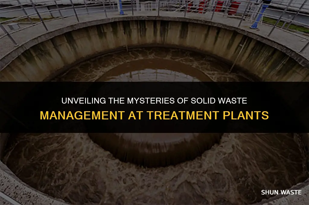 what do waste treatment plants do with solid waste