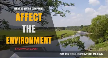 How Water Companies Impact Ecosystems and Environmental Sustainability