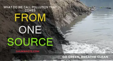 Understanding Point-Source Pollution: A Clear and Present Danger
