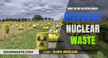Managing the Aftermath: A Guide to Post-Disposal Nuclear Waste Strategies