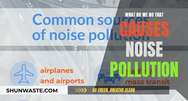 Uncovering Everyday Sources of Noise Pollution