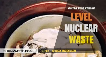 Managing Low-Level Nuclear Waste: Solutions and Challenges