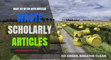 Managing Nuclear Waste: A Deep Dive into Scholarly Solutions