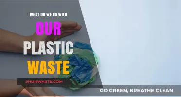Rethinking Recycling: Innovative Solutions for Our Plastic Waste Crisis