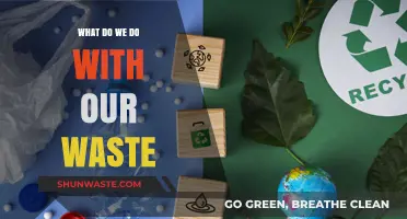 Managing Our Waste: A Comprehensive Guide to Sustainable Practices