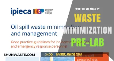 Exploring Waste Minimization: A Pre-Lab Primer
