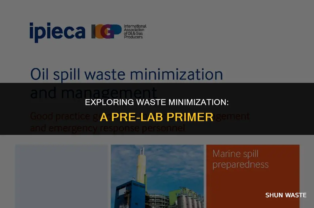 what do we mean by waste minimization pre-lab