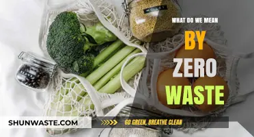 Rethinking Consumption: A Journey Towards Zero Waste Living