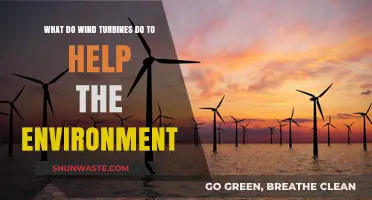 How Wind Turbines Combat Climate Change and Protect Our Planet