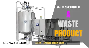 Unveiling the Surprising Waste Products of Yeast Metabolism