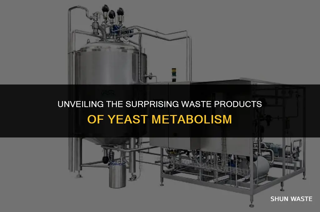 what do yeast release as a waste product