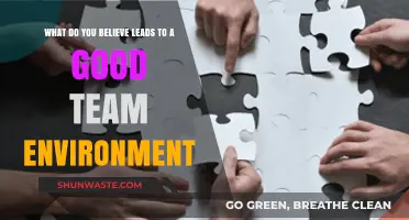 Fostering Collaboration: Key Elements for a Thriving Team Environment