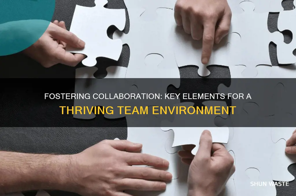 what do you believe leads to a good team environment