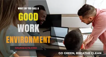 Cultivating a Positive Workplace: Defining the Ideal Work Environment