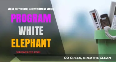 The Costly White Elephant: Government Waste Programs Exposed
