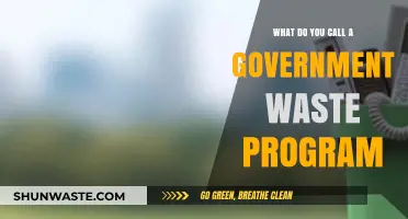 Decoding Government Waste: A Comprehensive Guide to Program Nomenclature