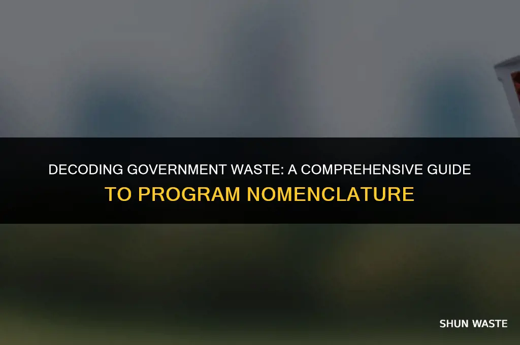 what do you call a government waste program