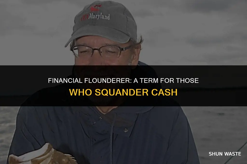 what do you call a person who wastes money