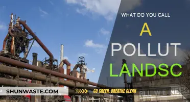 The Toxic Terrain: Polluted Landscapes and Their Consequences