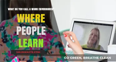 Fostering Growth: The Power of a Learning-Centric Work Environment