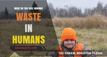Understanding Chronic Waste in Humans: A Comprehensive Guide