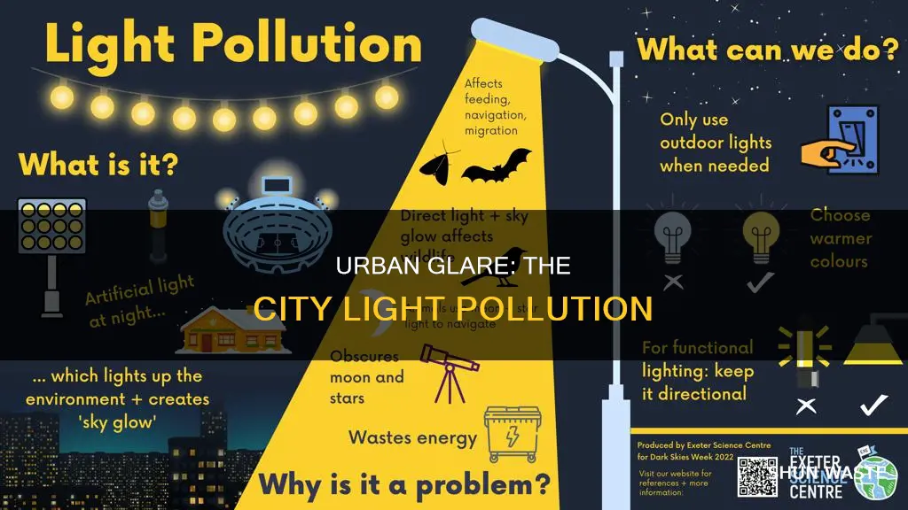 what do you call city light pollution