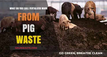 Sustainable Agriculture: The Benefits of Pig Waste Fertilizer