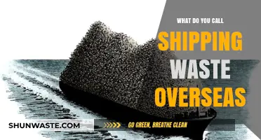 Exporting Waste: The Controversial Practice of Global Garbage Shipping