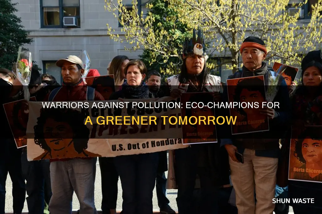 what do you call someone who fights against pollution