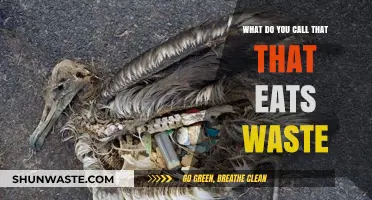 Nature's Cleanup Crew: Exploring the World of Waste-Eating Organisms