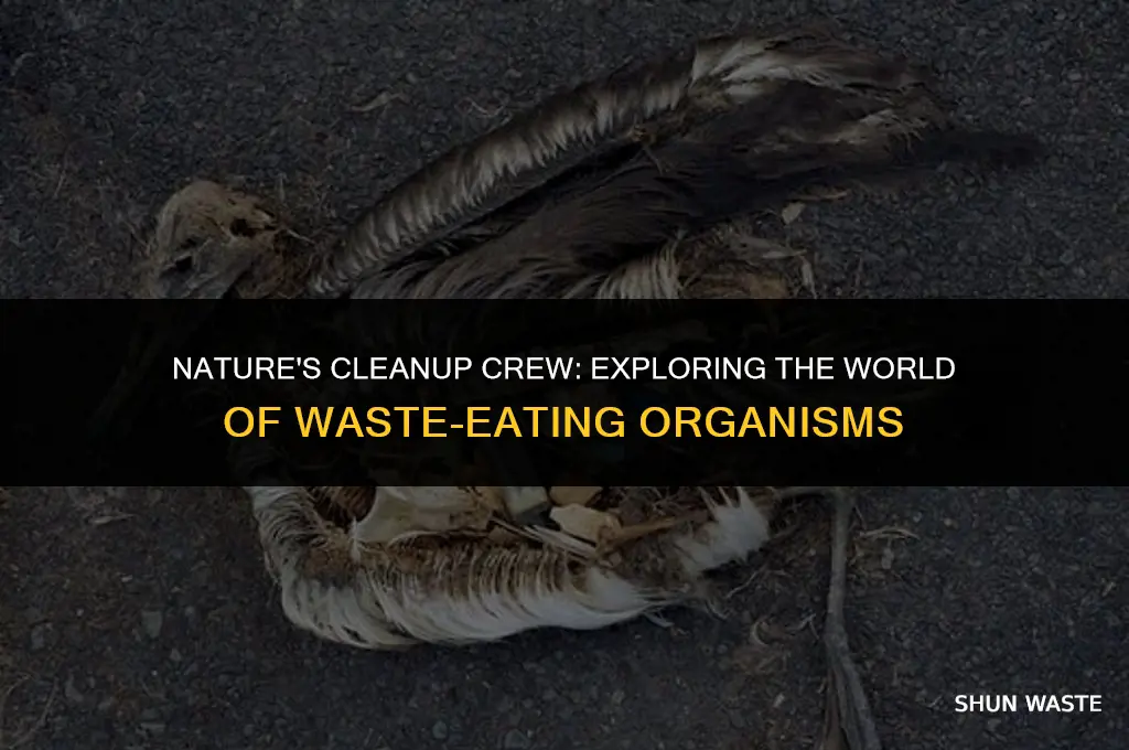 what do you call that that eats waste