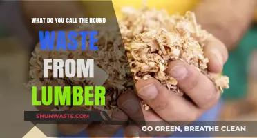 Exploring Sawdust: The Unseen Byproduct of Lumber Processing