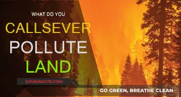 The Toxic Legacy: Severely Polluted Lands