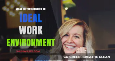 Crafting the Perfect Workplace: Key Elements of an Ideal Work Environment