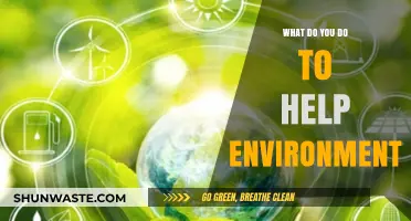 Sustainable Steps: Simple Actions to Protect and Preserve Our Environment
