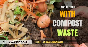 From Scraps to Soil: The Ultimate Guide to Composting Waste