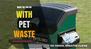 Eco-Friendly Pet Waste Management: Tips for Responsible Pet Owners