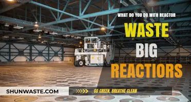 Managing the Aftermath: Safe Disposal of Reactor Waste from Large Reactors