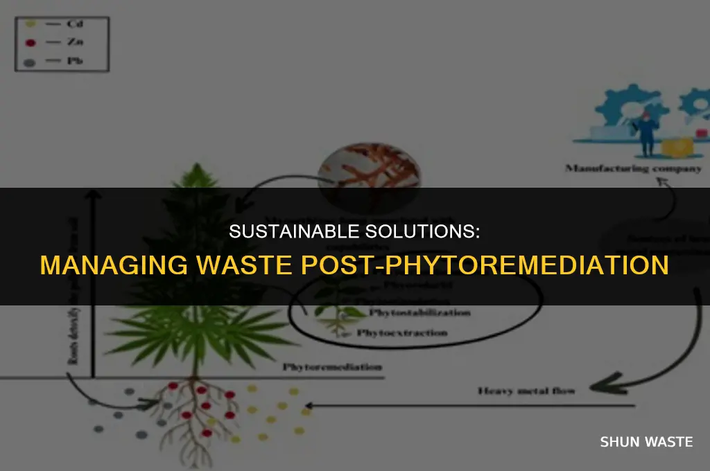 what do you do with waste after phytoremediation