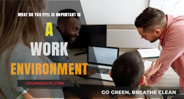 Fostering Productivity: Key Elements for a Positive Work Environment