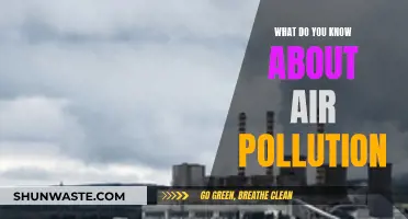 Air Pollution: What You Need to Know