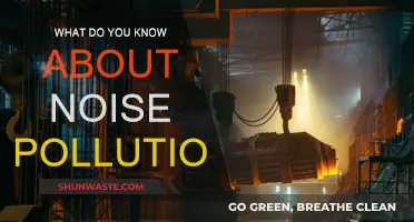Understanding Noise Pollution: What's the Harm?