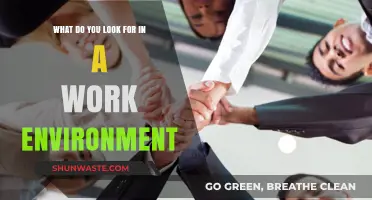 Crafting the Ideal Workplace: Key Factors for a Positive Work Environment