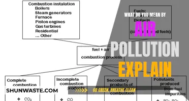Air Pollution: Understanding the Toxic Air We Breathe