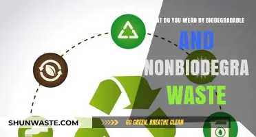Decoding the Difference: Biodegradable vs. Non-Biodegradable Waste Explained