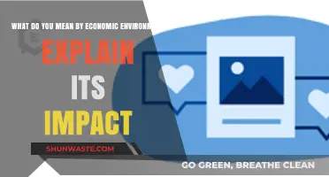 Understanding Economic Environment: Its Definition and Impact on Businesses