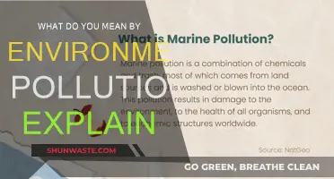 Understanding Environmental Pollution and Its Impact
