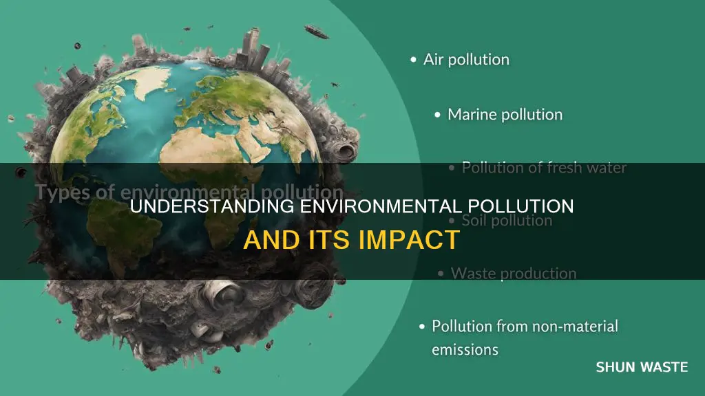 what do you mean by environmental pollution explain